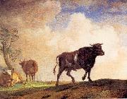 The Bull POTTER, Paulus